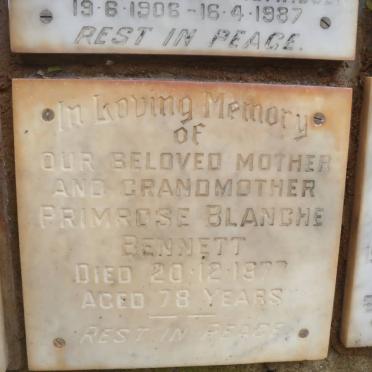 BENNETT Primrose Blanche -1977