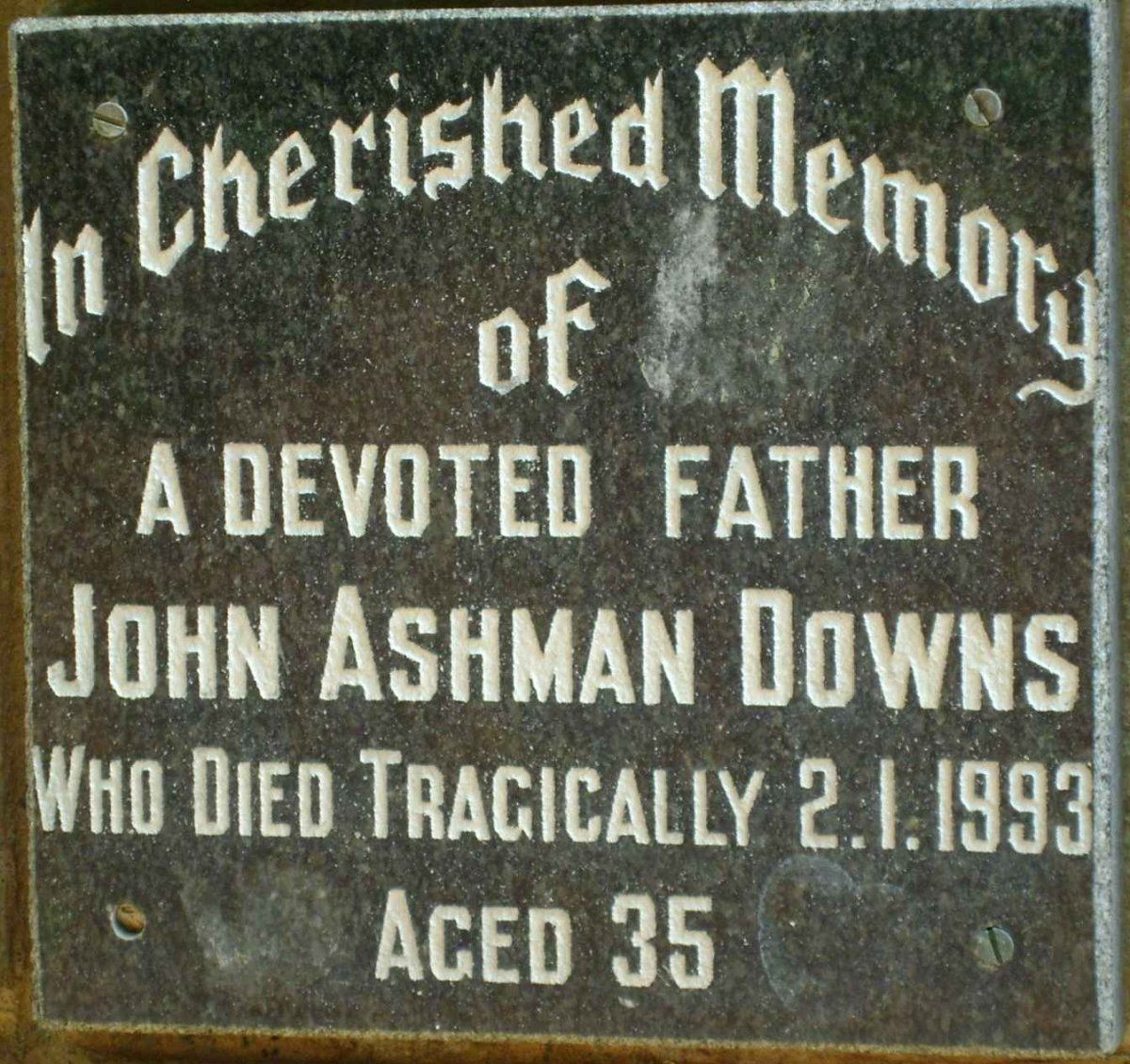 DOWNS John Ashman -1993