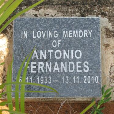 FERNANDES Antonio 1933-2010