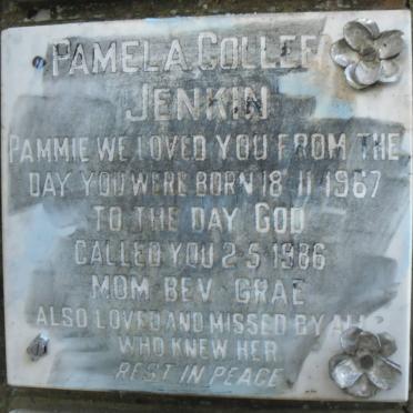JENKIN Pamela Colleen 1967-1986