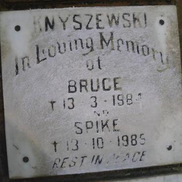 KNYSZEWSKI Bruce -1984 :: KNYSZEWSKI Spike -1985