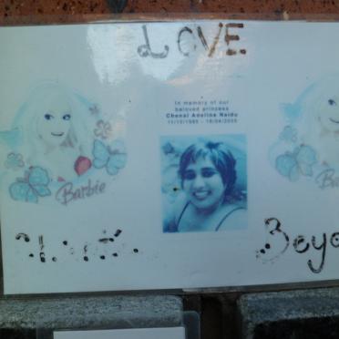 NAIDU Chenal Adeline 1985-2005