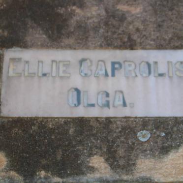 OLGA Ellie Caprolis