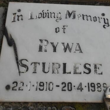 STURLESE Rywa 1910-1989