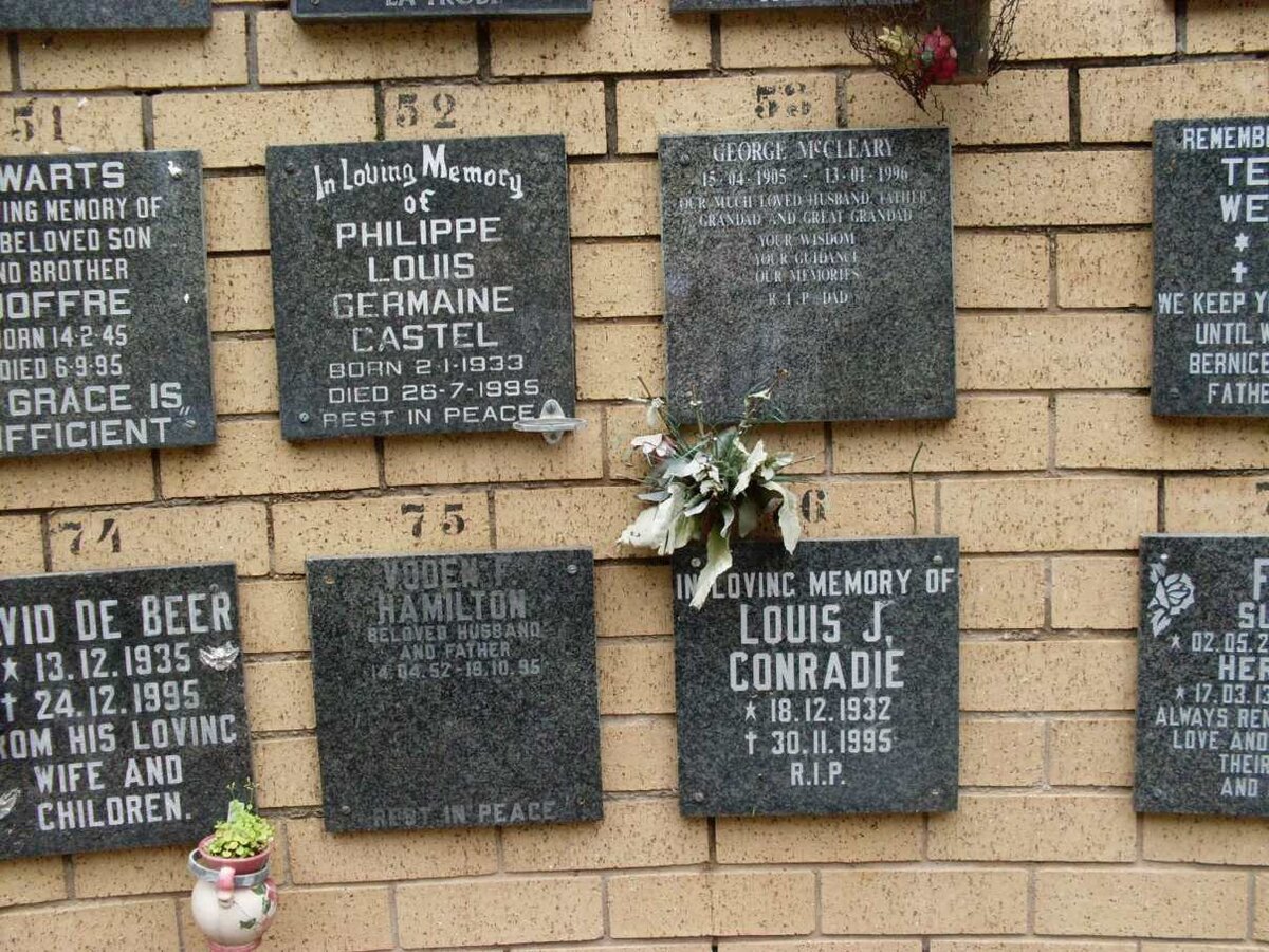 CASTEL :: CONRADIE :: HAMILTON :: McCLEARY