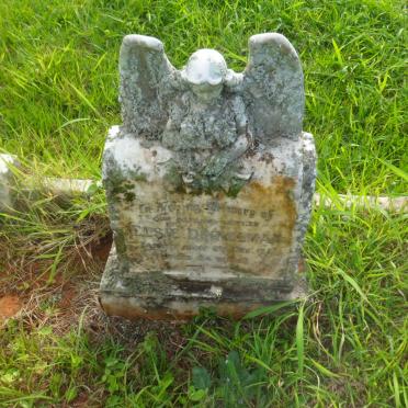 DINKELMAN Elsie -1951