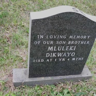 DIKWAYO Mluleki -1962