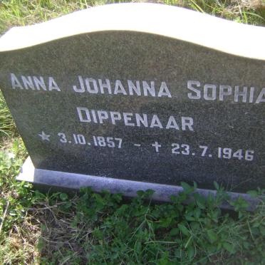 DIPPENAAR Anna Johanna Sophia 1857-1946