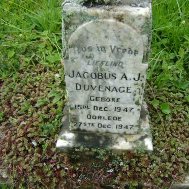 DUVENHAGE Jacobus A.J. 1947-1947