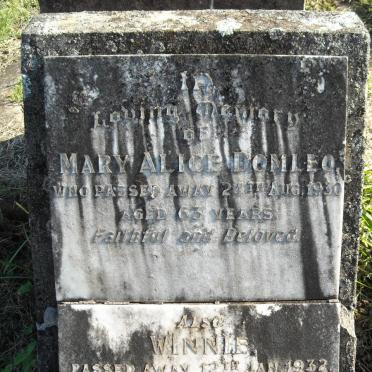 DOMLEO Mary Alice -1930 :: DOMLEO Winnie -1932 :: OLSEN Inga Marie 1978