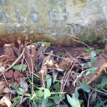 EVANS John -1946 &amp; Mary Hannah - 1942 :: EVANS Mary Ann -1941