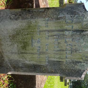 Ex - Surnames starting with the letters Ex