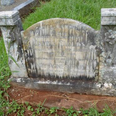 FAULDS James -1949 &amp; Mary Agnes -1959