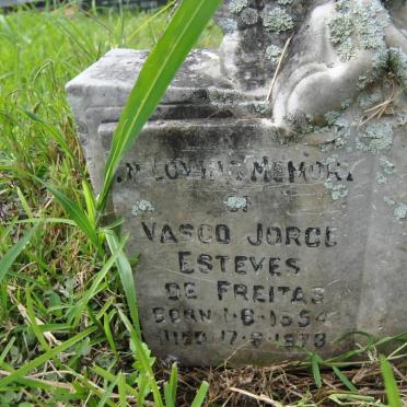 FREITAS Vasco Jorge Esteves, de 1954-1973