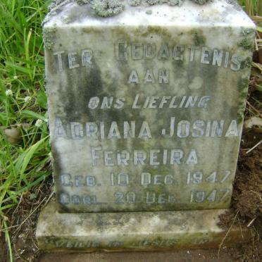 FERREIRA Petrus Hendrik 1944-1964 :: FERREIRA Adriana Josina 1947-1947