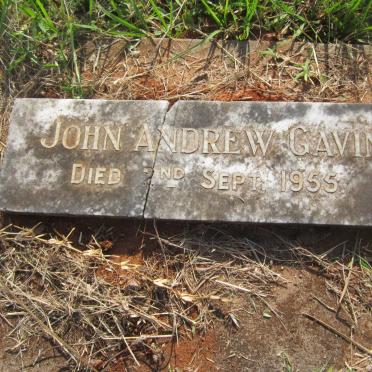 GAVIN John Andrew -1955