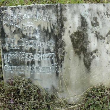 GREYLING J.H. 1877-1936