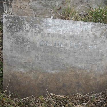 GRIFFEN Brian Ernest -1966 :: Herbert Ernest  -1967