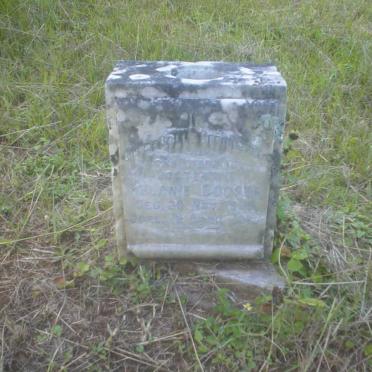 GOOSEN Melanie -1960