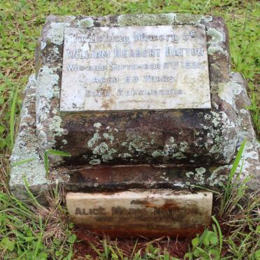 HATTON William Herbert -1931 &amp; Alice Maria -1945