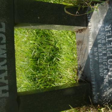 HARMSE Jaco Pieter 1974-1974