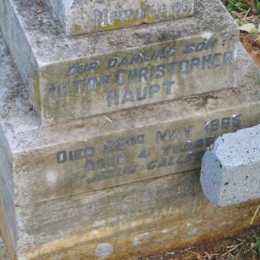 HAUPT Hilton Christopher -1965