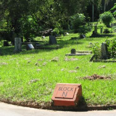 HAYMAN William Norton 1876-1953