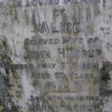 HARRUP John 1980 &amp; Alice -1946