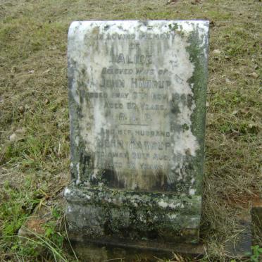 HARRUP John 1980 &amp; Alice -1946