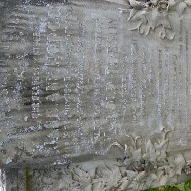 HODGES Jane Ann -1948 :: ROBSON Harold -1961 :: MULHOLLAND Mary Elizabeth –1932