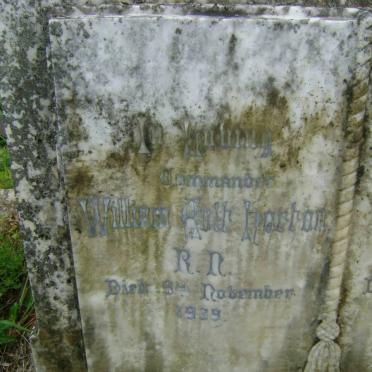 HORTON William Ault -1939 :: EDWARDS Georgina Lucy formerly HORTON -1943