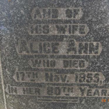 HOLDEN Alfred F. -1927 :: HOLDEN Alice Ann -1955 :: HOLDEN Daisy Gwendolyn -1956