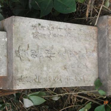 HOPTION Kenneth -1929