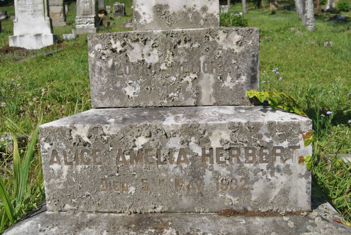 HERBERT Alice Amelia -1932