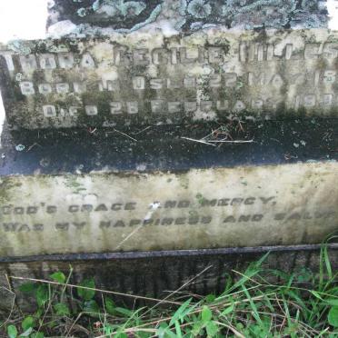 HILLESTAD Thora Cecilie 1862-1939