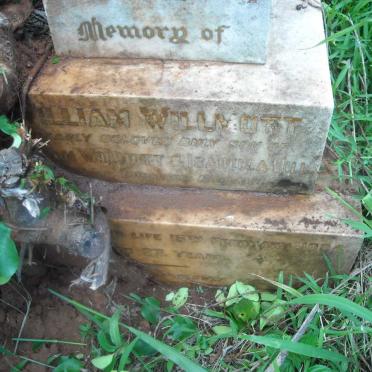 HILL William Willmott -1924