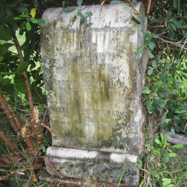 HILL Robert Dewar -1951 &amp; Jane -1938 :: HILL Walter Robert Chapman 1897-1951