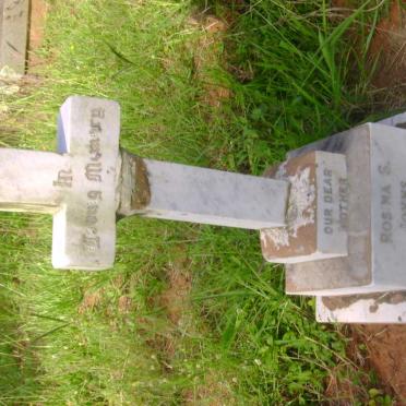 JOHNS Rosina S. -1955