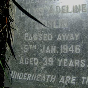 JOSLIN Herbert Crush -1969 &amp; Dilys Adeline -1946