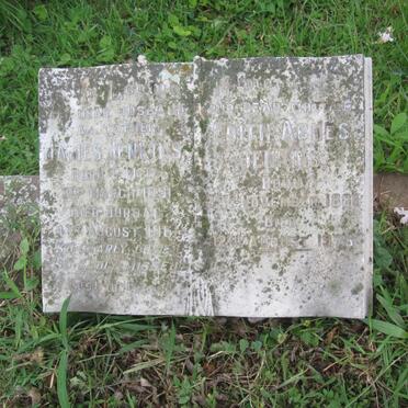 JENKINS James 1891-1961 &amp; Edith Agnes 1888-1976