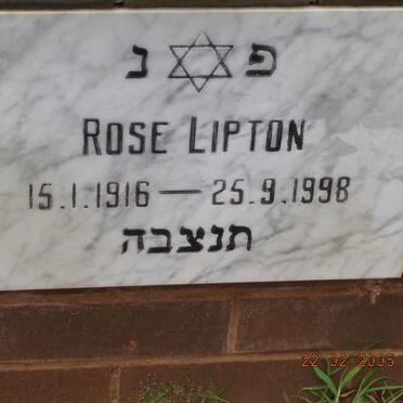 LIPTON Rose 1916-1998