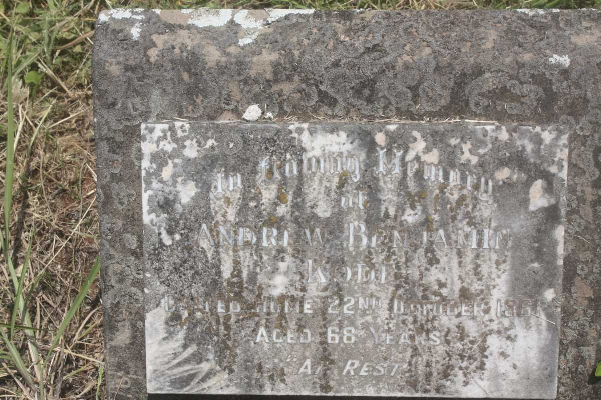 KODE Andrew Benjamin -1961