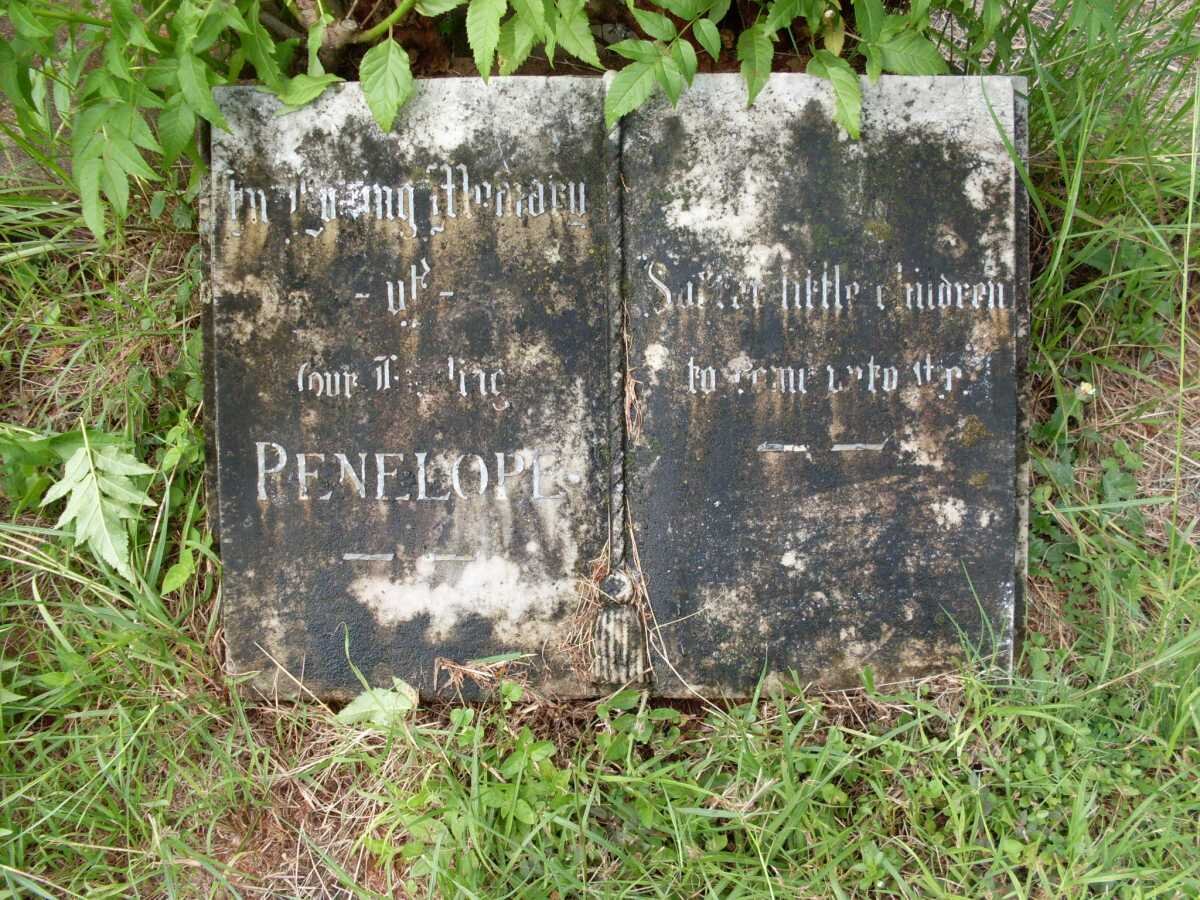 KITCHIN Penelope -1960