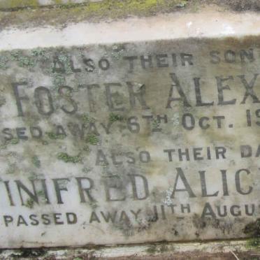 WILLIAMS Charles Foster Alexander -1957 &amp; Winifred Alice KNEWSTUB -1970