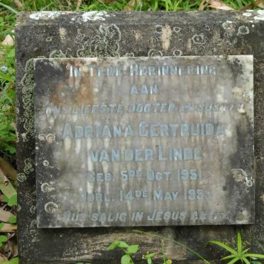 LINDE Adriana Gertruida, van der -1951-1953