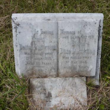 LIGHTENING Ernest Dalton -1939 &amp; Ellen Eliza -1963 :: LIGHTENING Roger Olando 1913-1975