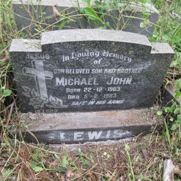 LEWIS Michael John 1963-1983