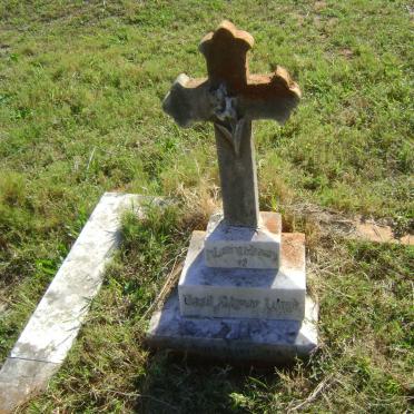 LLOYD Basil Glynne -1914