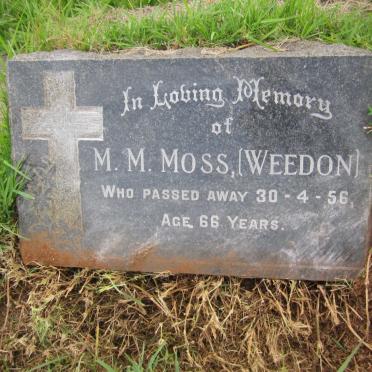 MOSS M.M. nee WEEDON -1956