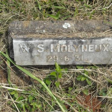 MOLYNEUX W.S. -1931